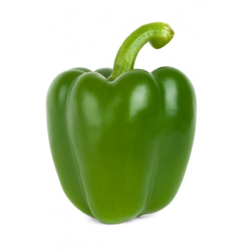Capsicum