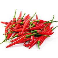 Hot Pepper