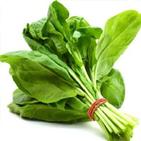 Palak