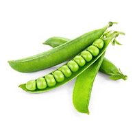 Pea