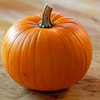 Pumpkin