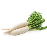 Radish