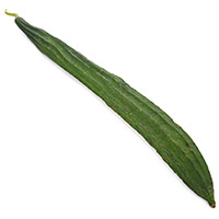 Ridge Gourd