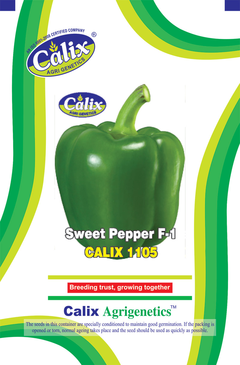 Sweet Pepper F-1 Calix 1105