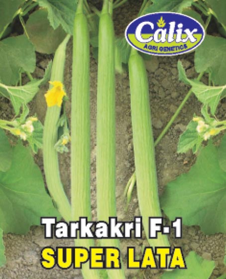 Tarkakri F-1 Super Lata