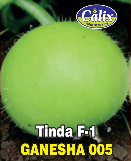 Tinda F-1 Ganesha 005