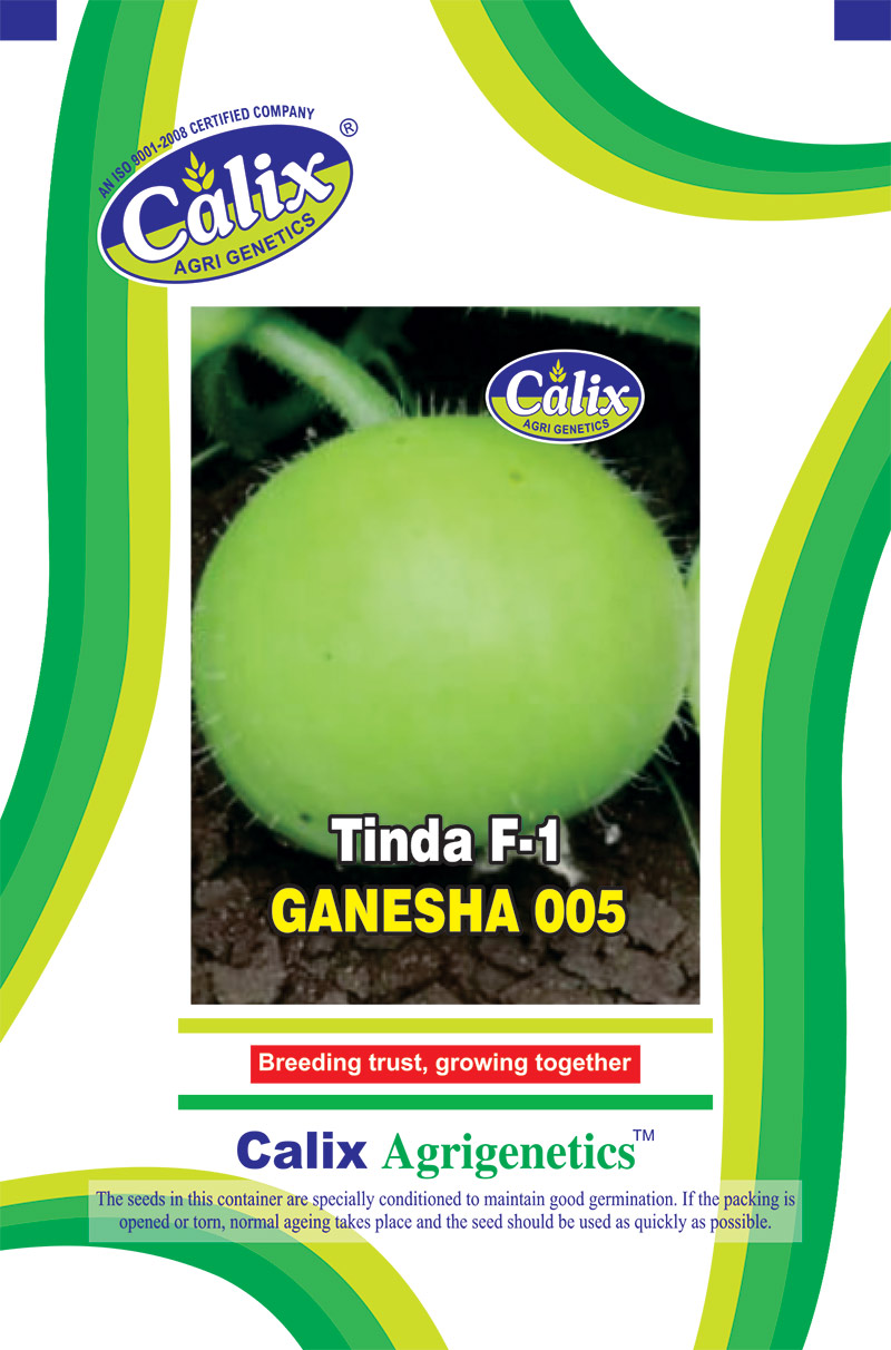 Tinda F-1 Ganesha 005