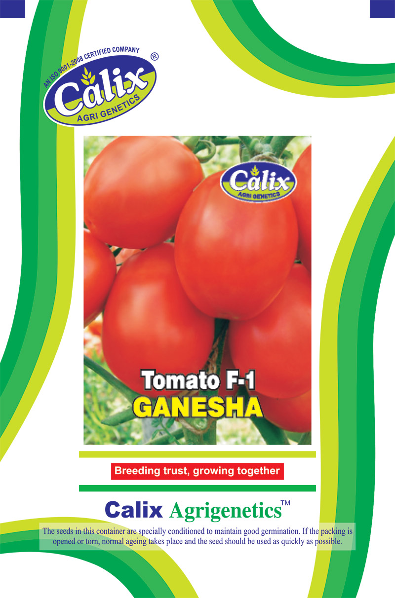 Tomato F-1 Ganesha