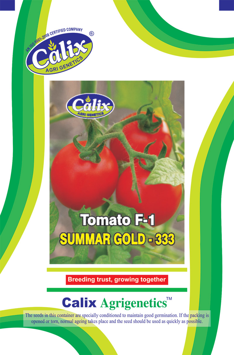 Tomato F-1 Summer Gold 333