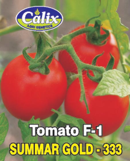 Tomato F-1 Summer Gold 333