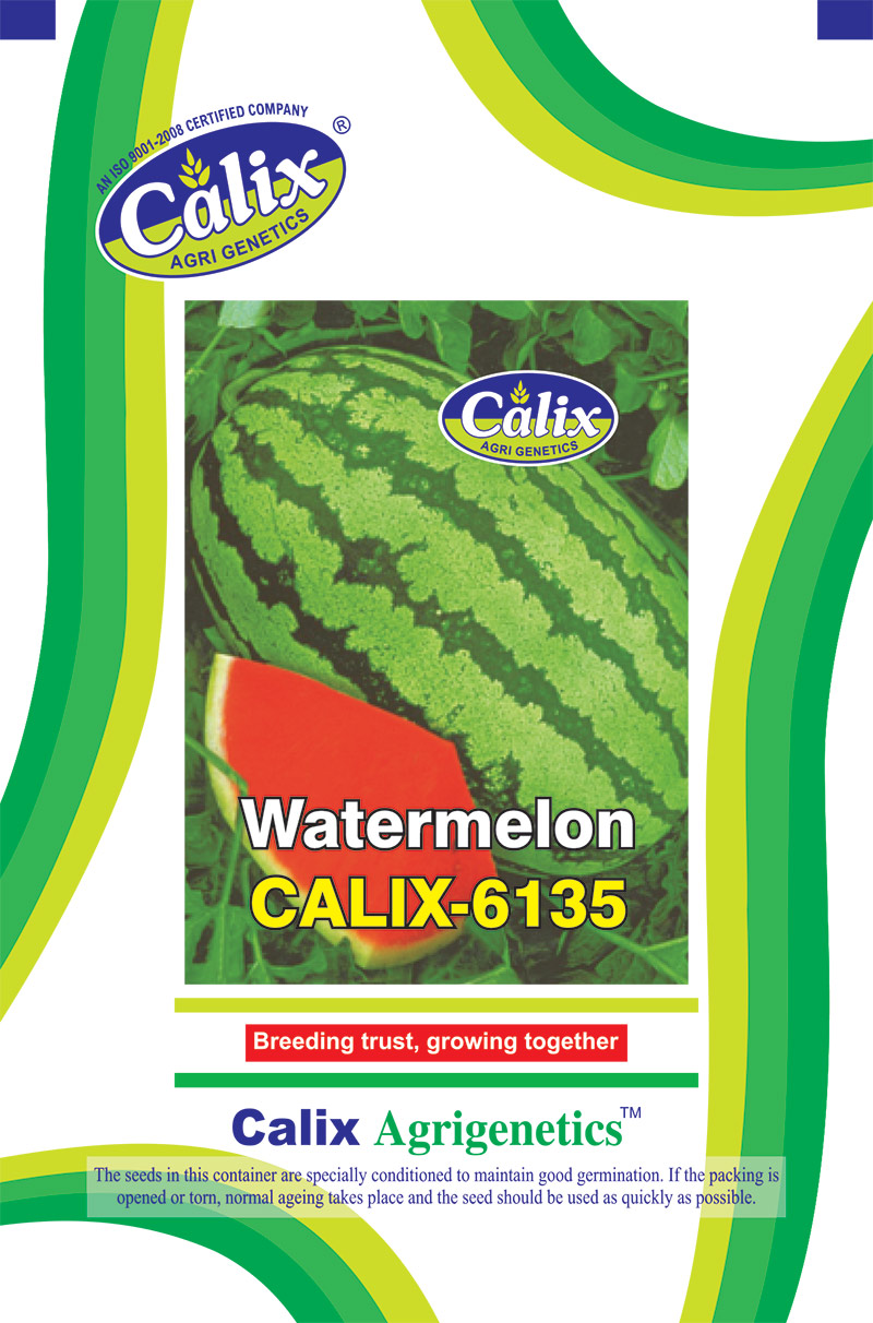 Watermelon F-1 Calix 6135