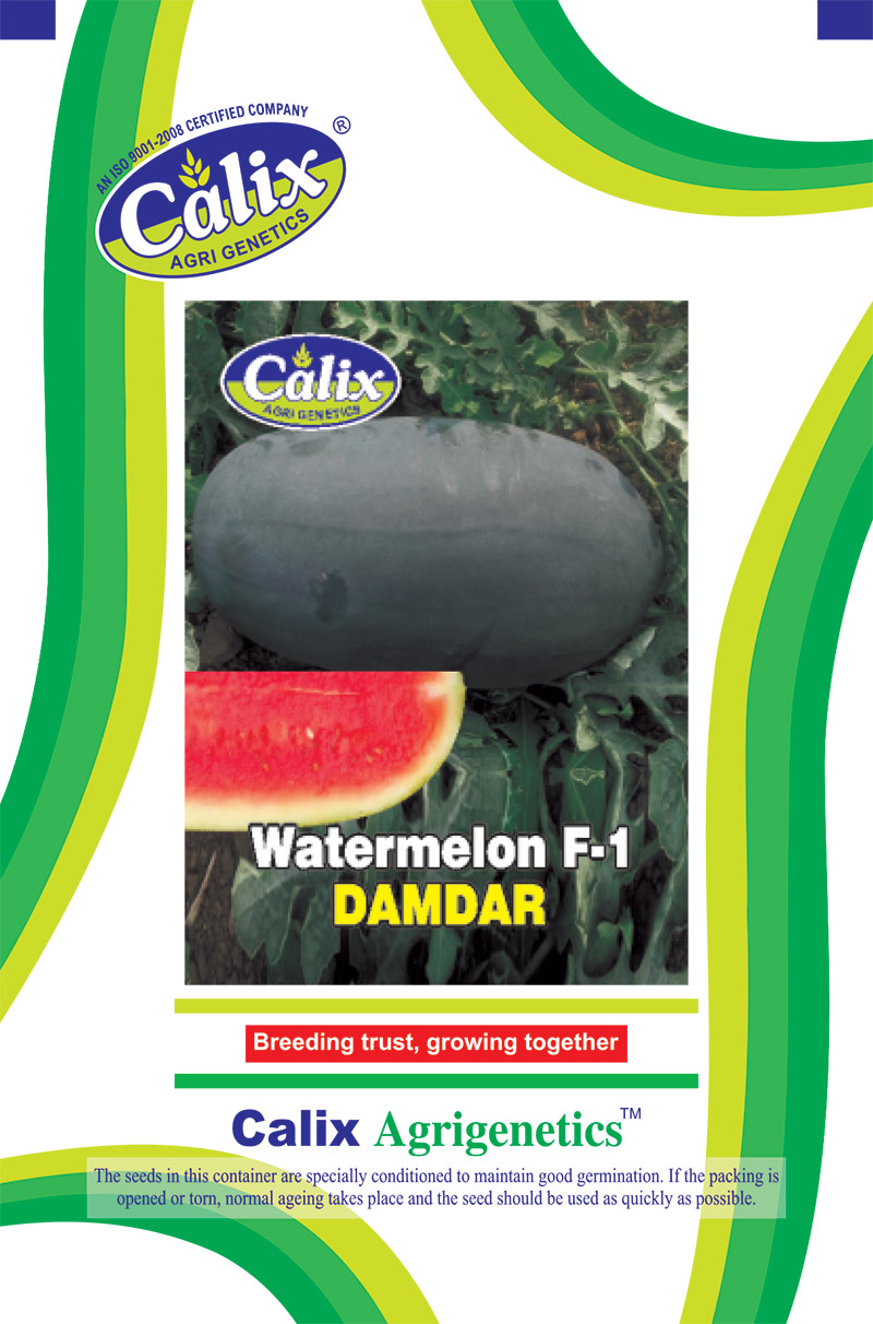 Watermelon F-1 Damdar